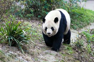 乌度卡：我们靠防守拿下比赛 范弗里特带动全队努力打球